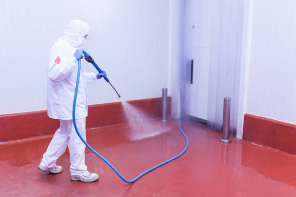 Best House Exterior Washing  in White Hall, AR